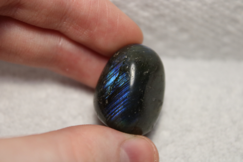 Polished dark brown stone with blue and brown reflections.